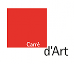 image carr_dart.png (6.4kB)
Lien vers: https://www.carreartmusee.com/